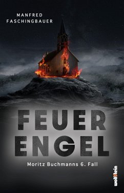 Cover Feuerengel (eBook, ePUB)