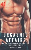 Orgasmic Affairs (eBook, ePUB)