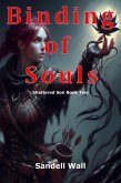 Binding of Souls (Shattered Son, #2) (eBook, ePUB)