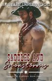Saddles and Snowstorms Saddles and Snowstorms