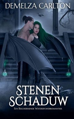 Cover Stenen Schaduw
