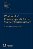 What works? Kriminologie als Teil der Strafrechtswissenschaft What works? Kriminologie als Teil der Strafrechtswissenschaft