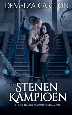 Cover Stenen Kampioen