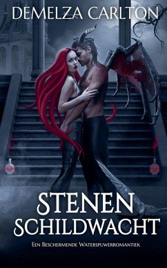 Cover Stenen Schildwacht