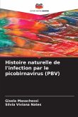 Histoire naturelle de l'infection par le picobirnavirus (PBV)