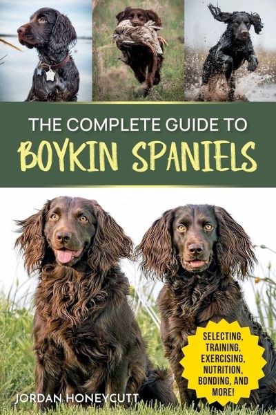 The Complete Guide to Boykin Spaniels The Complete Guide to Boykin Spaniels