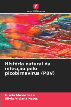 História natural da infecção pelo picobirnavirus (PBV) - Masachessi, Gisela;Nates, Silvia Viviana História natural da infecção pelo picobirnavirus (PBV) - Masachessi, Gisela;Nates, Silvia Viviana