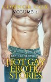 Hot Gay Erotic Stories Volume 1- 10 Taboo Gay Erotic Stories - Gay Erotica for Men - Gay Erotica MM (eBook, ePUB) Hot Gay Erotic Stories Volume 1- 10 Taboo Gay Erotic Stories - Gay Erotica for Men - Gay Erotica MM (eBook, ePUB)