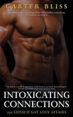 Intoxicating Connection - 250 Explicit Gay Love Affairs (eBook, ePUB) Intoxicating Connection - 250 Explicit Gay Love Affairs (eBook, ePUB)