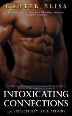 Intoxicating Connection - 250 Explicit Gay Love Affairs (eBook, ePUB) Cover Intoxicating Connection - 250 Explicit Gay Love Affairs (eBook, ePUB)