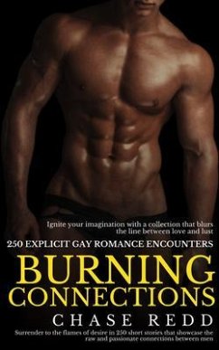 Burning Connections - 250 Explicit Gay Romance Encounters (eBook, ePUB) Cover Burning Connections - 250 Explicit Gay Romance Encounters (eBook, ePUB)