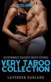 Very Taboo Collection - Volume 1 - 50 Extremely Naughty Erotic Stories (eBook, ePUB)