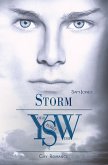 Storm (eBook, ePUB)