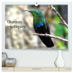 Oiseaux exotiques (Calendrier mural 2026 DIN A2 vertical) calendrier de bureau