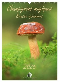 Cover Champignons magiques - Beautés éphémères (Calendrier mural 2026 DIN A3 horizontal), CALVENDO calendrier mensuel