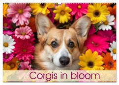 Corgis in Bloom (Wall Calendar 2026 DIN A2 landscape), CALVENDO 12 Month Wall Calendar Corgis in Bloom (Wall Calendar 2026 DIN A2 landscape), CALVENDO 12 Month Wall Calendar
