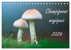 Cover Champignons magiques (Calendrier de bureau 2026 DIN A5 vertical), CALVENDO calendrier mensuel
