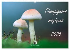 Cover Champignons magiques (Calendrier mural 2026 DIN A2 vertical), CALVENDO calendrier mensuel