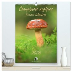 Cover Champignons magiques - Beautés éphémères (Calendrier mural 2026 DIN A2 horizontal) calendrier de bureau