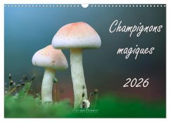 Cover Champignons magiques (Calendrier mural 2026 DIN A3 vertical), CALVENDO calendrier mensuel