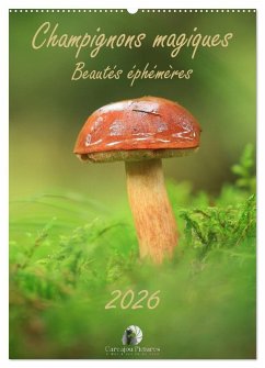 Cover Champignons magiques - Beautés éphémères (Calendrier mural 2026 DIN A2 horizontal), CALVENDO calendrier mensuel