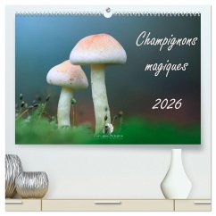 Cover Champignons magiques (Calendrier mural 2026 DIN A2 vertical) calendrier de bureau
