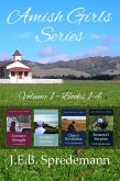 Amish Girls Series - Volume 1 (Boxed Set - Books 1-4) (eBook, ePUB)