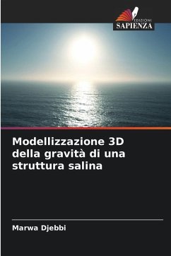 Cover Modellizzazione 3D della gravità di una struttura salina
