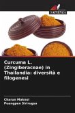 Curcuma L. (Zingiberaceae) in Thailandia: diversità e filogenesi