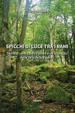 Spicchi di luce tra i rami (eBook, ePUB)