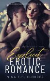 Explicit Erotic Romance (eBook, ePUB) Explicit Erotic Romance (eBook, ePUB)