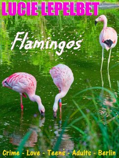 Cover Flamingos (eBook, ePUB)