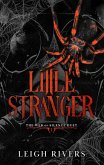 Little Stranger (eBook, ePUB)