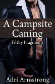 A Campsite Caning (Filthy Fragments, #159) (eBook, ePUB) A Campsite Caning (Filthy Fragments, #159) (eBook, ePUB)