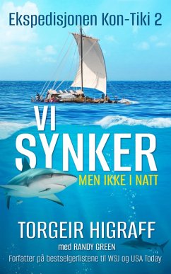 Cover Vi synker, men ikke i natt (eBook, ePUB)