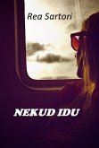 NEKUD IDU (roman) (eBook, ePUB)