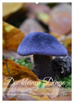 Die kleinen Dinge - märchenhafte Pilzwelten (Wandkalender 2026 DIN A2 hoch), CALVENDO Monatskalender