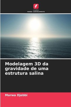 Cover Modelagem 3D da gravidade de uma estrutura salina