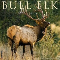 Cover Bull Elk 2026 Wall Calendar