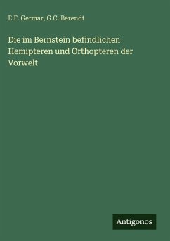 Cover Die im Bernstein befindlichen Hemipteren und Orthopteren der Vorwelt