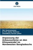 Anpassung der Anbausysteme an den Klimawandel im Nordwesten Bangladeschs Anpassung der Anbausysteme an den Klimawandel im Nordwesten Bangladeschs
