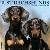 Dachshunds 2026 12 X 12 Wall Calendar Dachshunds 2026 12 X 12 Wall Calendar