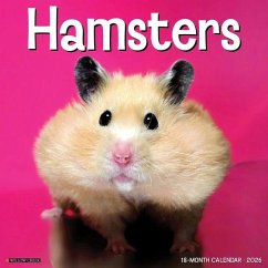 Hamsters 2026 12 X 12 Wall Calendar - Willow Creek Press