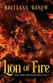 Lion of Fire Lion of Fire