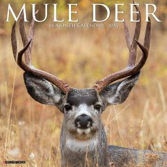 Cover Mule Deer 2026 12 X 12 Wall Calendar