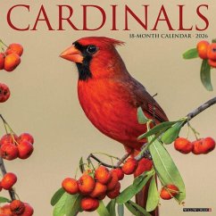 Cardinals 2026 12 X 12 Wall Calendar - Willow Creek Press