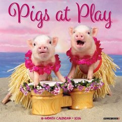 Pigs at Play 2026 12 X 12 Wall Calendar - Willow Creek Press