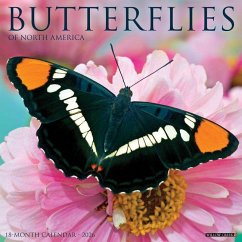 Butterflies 2026 12 X 12 Wall Calendar - Willow Creek Press Butterflies 2026 12 X 12 Wall Calendar - Willow Creek Press
