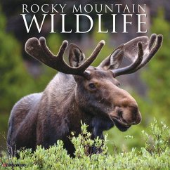 Rocky Mountain Wildlife 2026 12 X 12 Wall Calendar - Willow Creek Press Rocky Mountain Wildlife 2026 12 X 12 Wall Calendar - Willow Creek Press