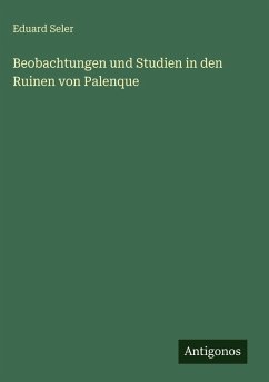 Cover Beobachtungen und Studien in den Ruinen von Palenque